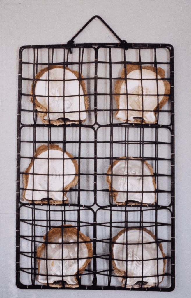 Decorative Pearl Shell Panel